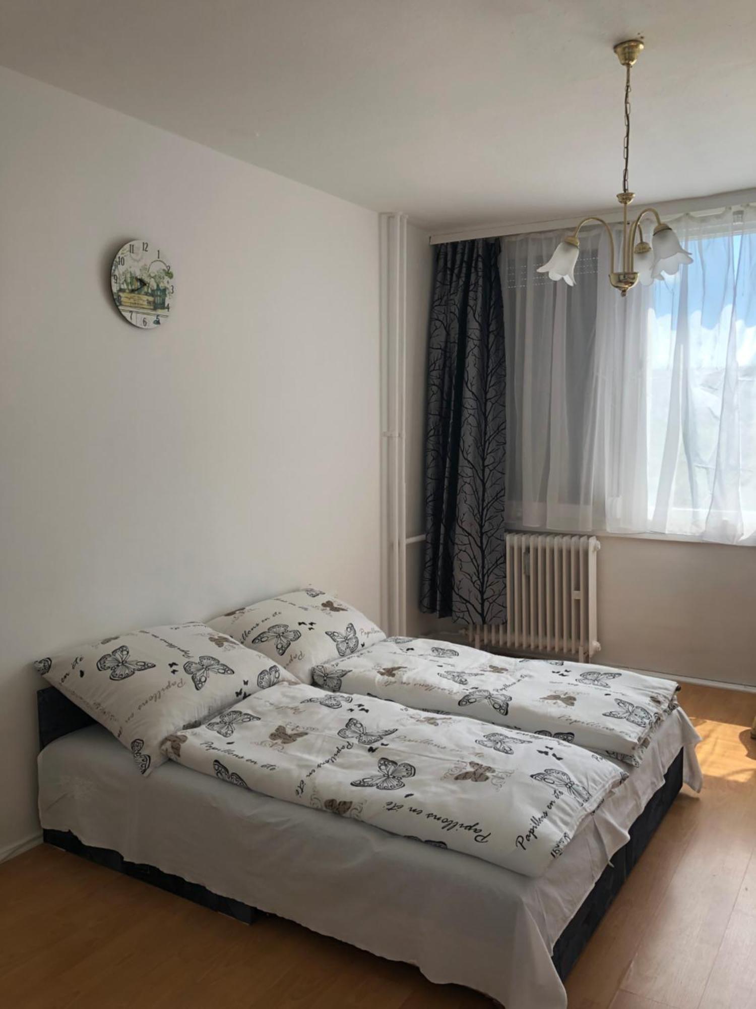 Apartment Juti